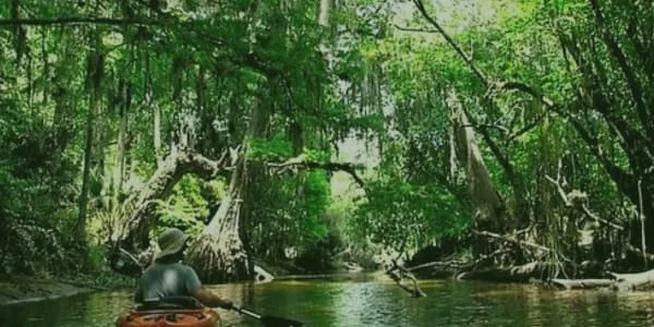 Exploring Jupiter's Natural Beauty Hiking, Biking and Kayaking Adventures